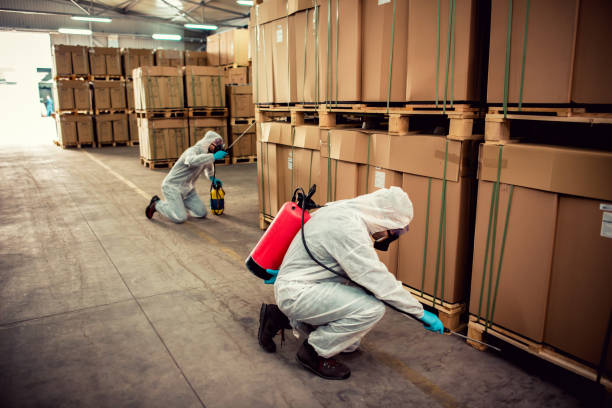 Best Insect Control  in Ruthers, CA