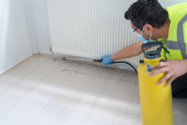 Best Exterminator Services  in Ruthers, CA